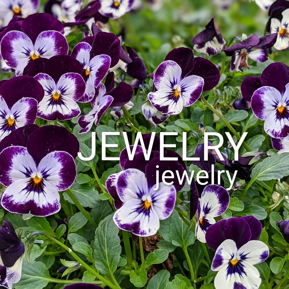 All The Pretty Shiny Things! 💍🌼💎